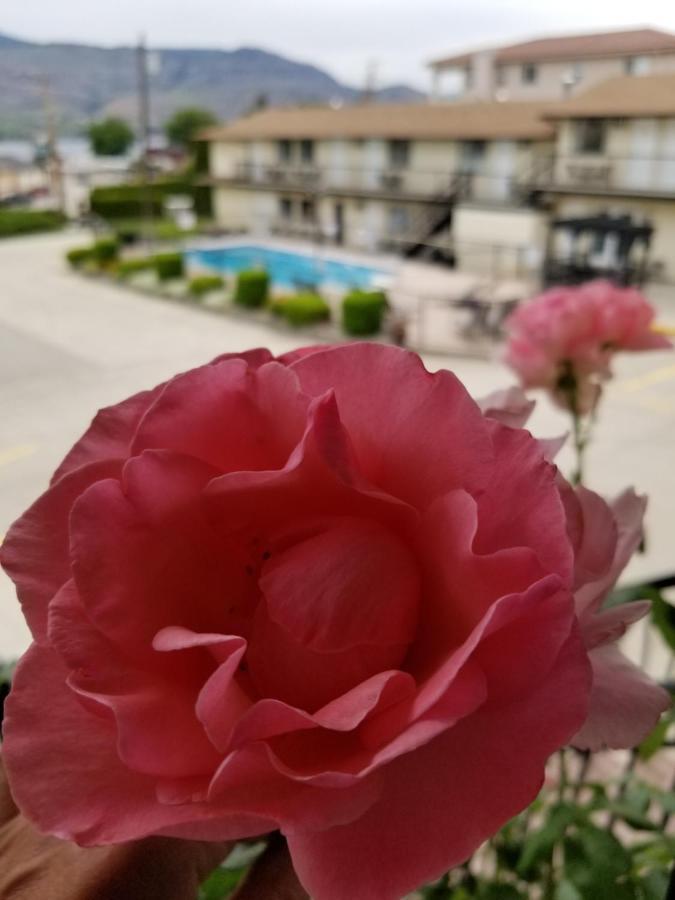Osoyoos Lakeview Inn & Suites Ngoại thất bức ảnh